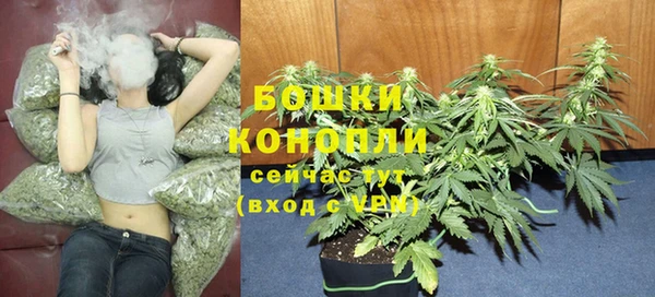 прущие крисы Арсеньев