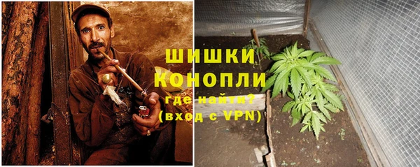 прущие крисы Арсеньев
