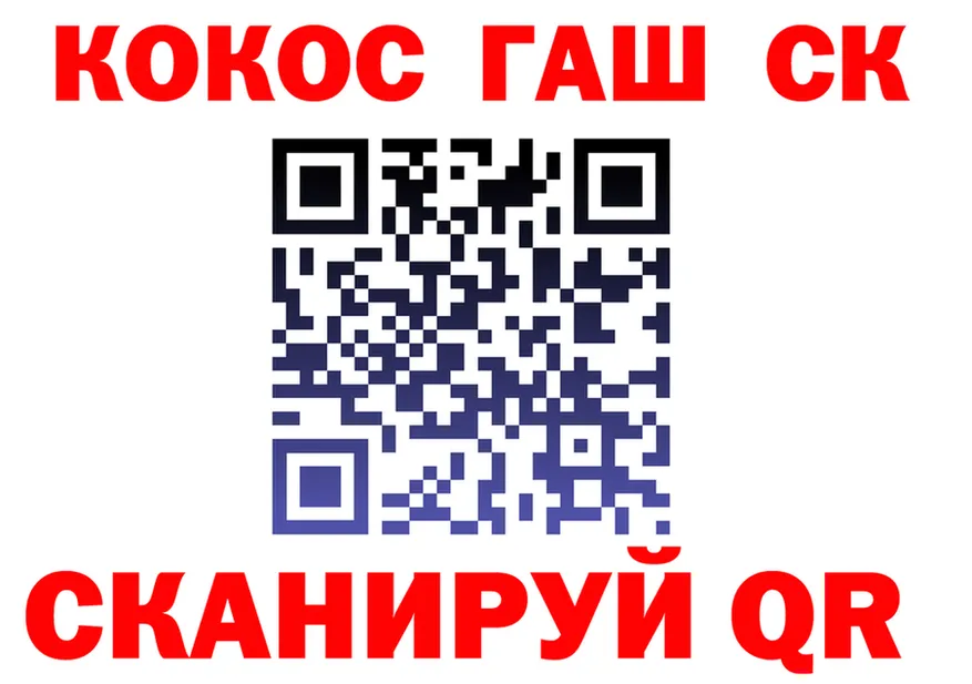 ГАШ VHQ зеркало площадка гидра Асино